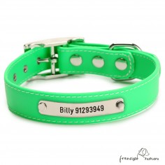 Biothane Beta ancho cinta 2,5 cm con costura Personalizado Verde 1