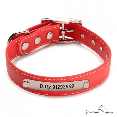 Collar Biothane Beta ancho cinta 2,5 cm con costura Personalizado rojo 1.1