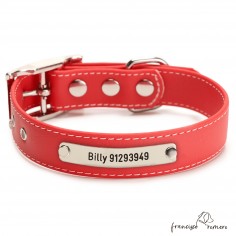 Biothane Beta ancho cinta 2,5 cm con costura Personalizado Rojo 1