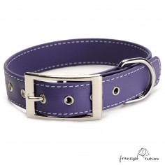 Biothane Beta ancho cinta 2,5 cm con costura Personalizado Violeta 1 2