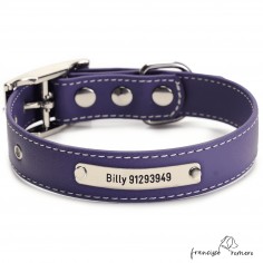 Biothane Beta ancho cinta 2,5 cm con costura Personalizado Violeta 1