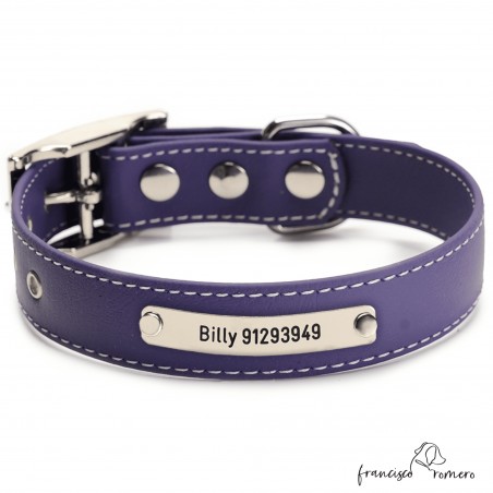 Biothane Beta ancho cinta 2,5 cm con costura Personalizado Violeta 1