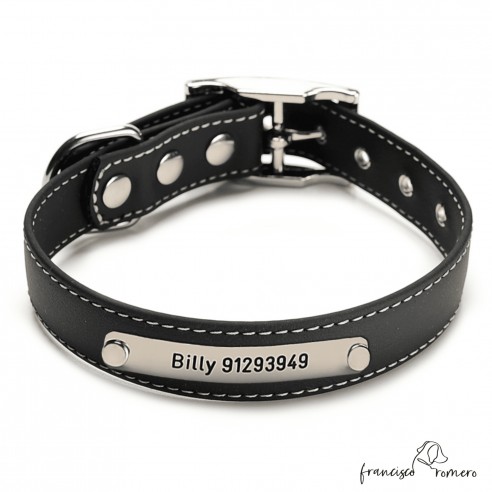 Collar Biothane Beta ancho cinta 2,5 cm con costura Personalizado negro 1.1