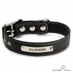 Biothane Beta ancho cinta 2,5 cm con costura Personalizado Negro 1