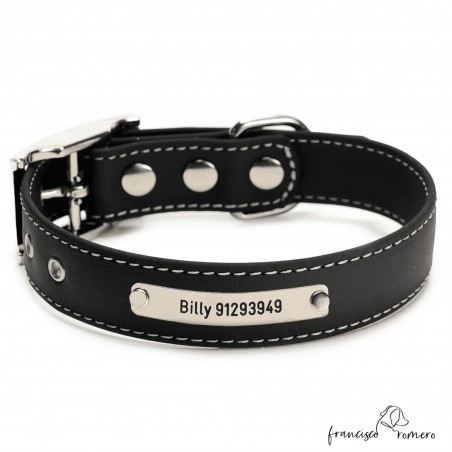 Biothane Beta ancho cinta 2,5 cm con costura Personalizado Negro 1