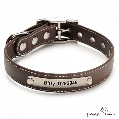 Collar Biothane Beta ancho cinta 2,5 cm con costura Personalizado chocolate 1.1