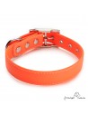Collar Biothane Beta ancho cinta 2,5 cm con costura naranja 1.4