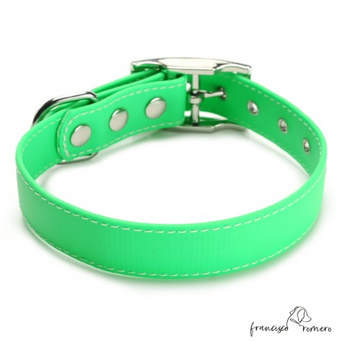 Collar Biothane Beta ancho cinta 2,5 cm con costura verde 4
