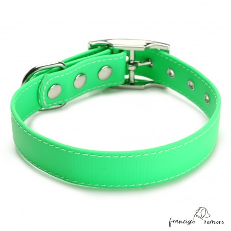 Collar Biothane Beta ancho cinta 2,5 cm con costura verde 4