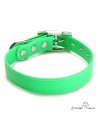 Collar Biothane Beta ancho cinta 2,5 cm con costura verde 4