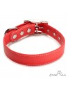 Collar Biothane Beta ancho cinta 2,5 cm con costura rojo 4