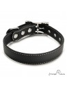 Collar Biothane Beta ancho cinta 2,5 cm con costura negro 4