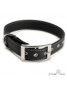 Collar Biothane Beta ancho cinta 2,5 cm con costura negro 3