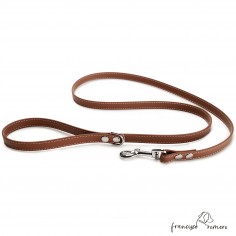 Correa de Paseo Biothane Beta con costura marrón 1
