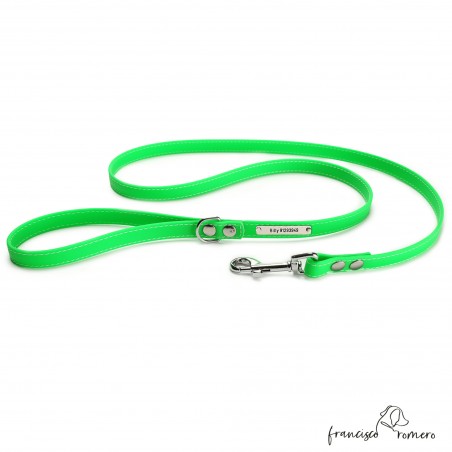 Correa de Paseo Biothane Beta con costura Personalizada Verde 1