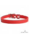 Collar Biothane Beta ancho cinta 1,6 cm con costura Rojo 3