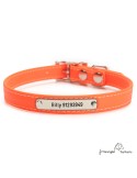 Collar Biothane Beta ancho cinta 1,6 cm con costura Personalizado Naranja 2