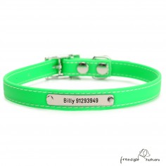 Collar Biothane Beta ancho cinta 1,6 cm con costura Personalizado Verde 2
