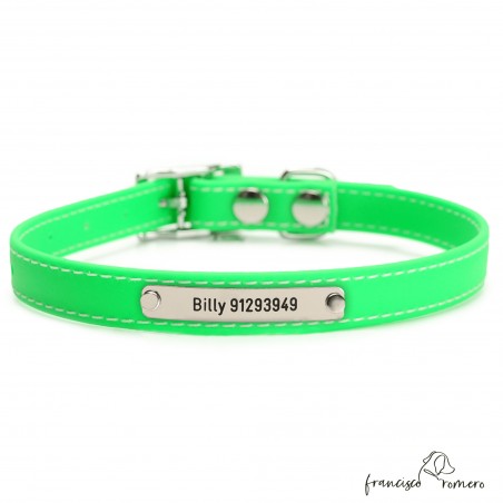 Collar Biothane Beta ancho cinta 1,6 cm con costura Personalizado Verde 2