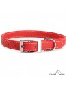 Collar Biothane Beta ancho cinta 1,6 cm con costura Personalizado Rojo 3