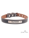 Collar piel vaquetilla herrajes níquel Personalizado Marrón para perro