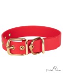 Collar Biothane Beta Latón Rojo para perro