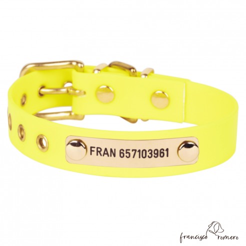 Collar Biothane Beta Latón...