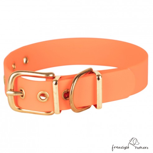 Collar Biothane Beta Latón...