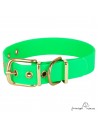 Collar Biothane Beta Latón Personalizado Verde para perro