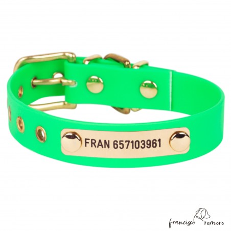 Collar Biothane Beta Latón Personalizado Verde