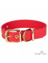 Collar Biothane Beta Latón Personalizado Rojo para perro