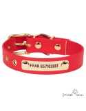 Collar Biothane Beta Latón Personalizado Rojo para perro
