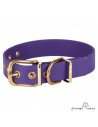 Collar Biothane Beta Latón Personalizado Violeta para perro