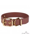 Collar Biothane Beta Latón Personalizado Marrón para perro