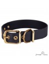 Collar Biothane Beta Latón Personalizado Negro para perro