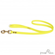 Correa de Paseo Biothane...