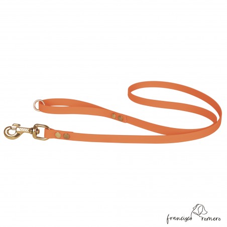 Correa de Paseo Biothane Beta Herrajes de Latón Naranja para perro
