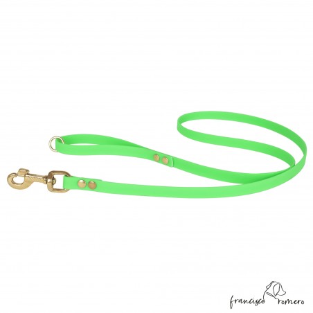 Correa de Paseo Biothane Beta Herrajes de Latón Verde para perro