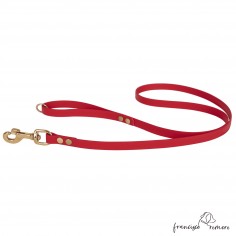 Correa de Paseo Biothane...