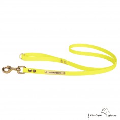 Correa de Paseo Biothane...