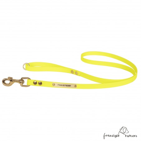 Correa Paseo Biothane Beta Latón Personalizada Amarilla para perro