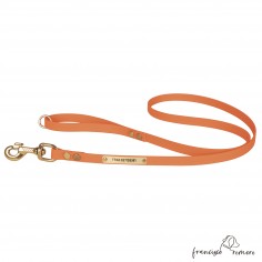 Correa de Paseo Biothane...