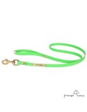 Correa Paseo Biothane Beta Latón Personalizada Verde para perro