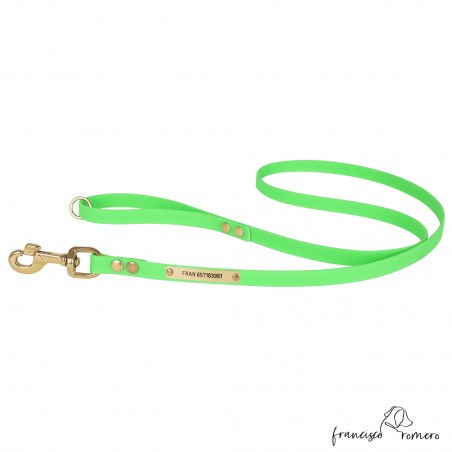 Correa Paseo Biothane Beta Latón Personalizada Verde para perro