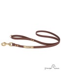 Correa Paseo Biothane Beta Latón Personalizada Marrón para perro