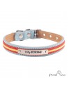 Collar piel vaquetilla bandera níquel Personalizado Celeste perro