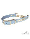 Collar corrector piel cadena de latón personalizado Celeste para perro