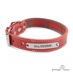 Collar Piel Funda Antiparasitaria Hebilla Rulo Personalizado Rojo 3
