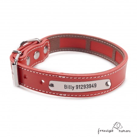 Collar Piel Funda Antiparasitaria Hebilla Rulo Personalizado Rojo 3
