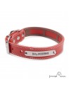 Collar Piel Funda Antiparasitaria Hebilla Rulo Personalizado Rojo 3